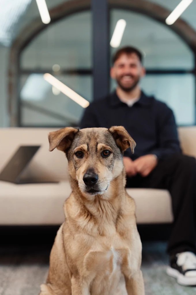 Marvins Hund, im Hintergrund Marvin